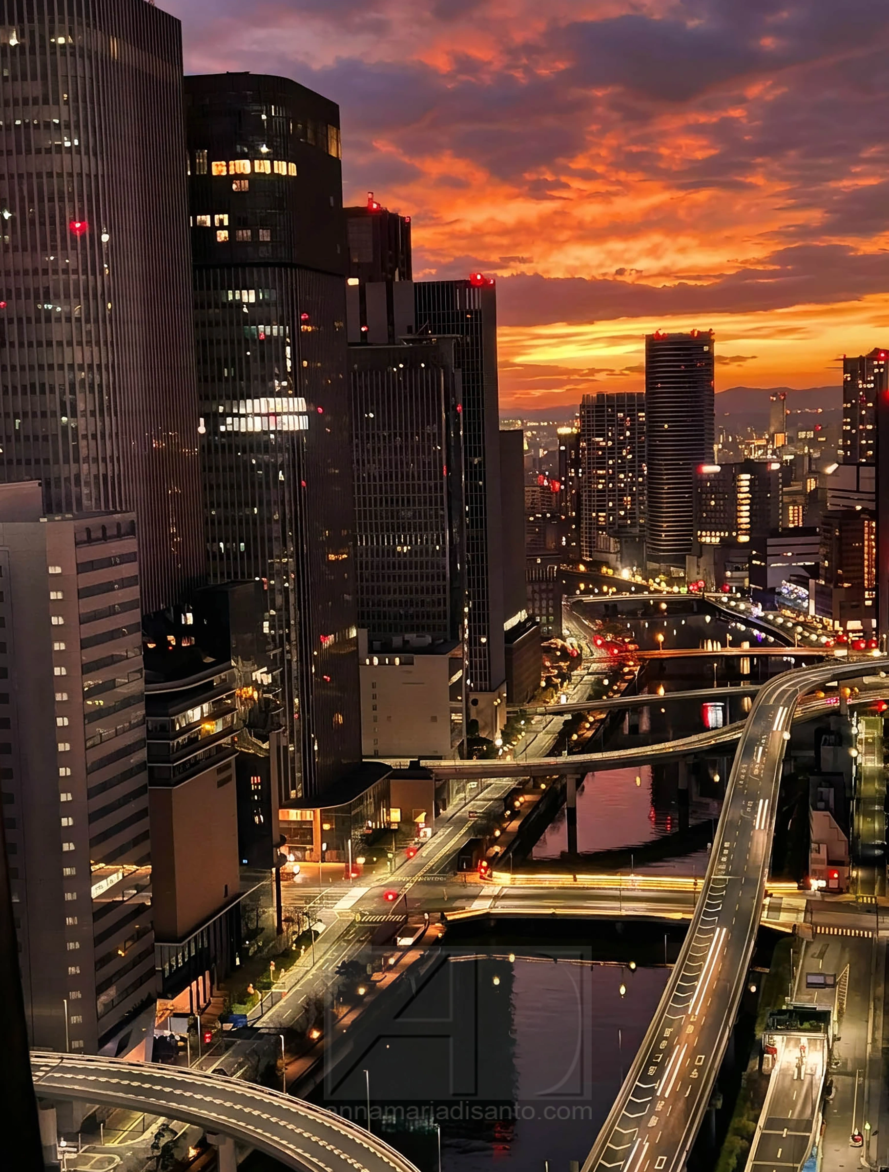 OSAKA CITYSCAPE PHOTOGRAPH BY ANNAMARIA DISANTO