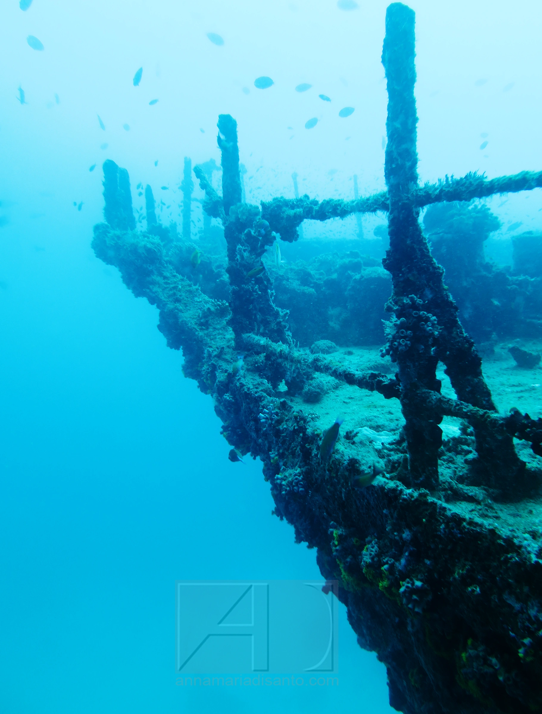 Underwater photograph of the stern of a shipwreck taken in Saba, Caribbean by Annamaria DiSanto