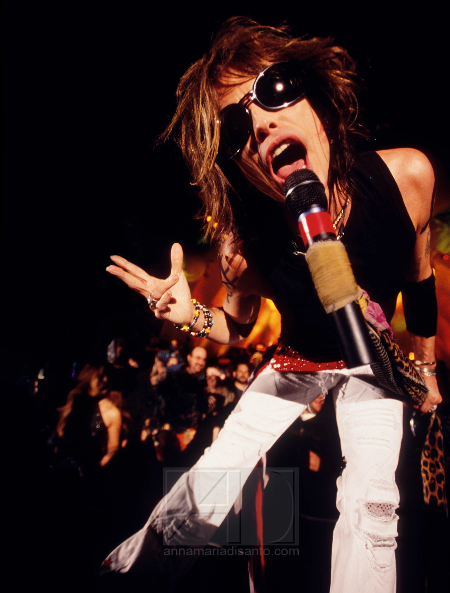 STEVEN TYLER
