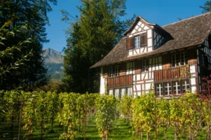 BALLENBERG, BRIENZ, SWITZERLAND Tudor-style farmhouse at Ballenberg Open-Air Museum in Brienz, Switzerland, photographed by Annamaria DiSanto