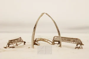 Whale Bone Arch in Utqiaġvik, Alaska, photographed by Annamaria DiSanto
