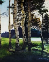 Watercolor painting a birch trees by Annamaria DiSanto