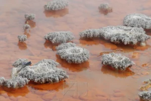 Wai-O-Tapu Thermal Wonderland in Rotorua, New Zealand, photographed by Annamaria DiSanto
