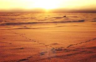Sunrise at the Arctic Refuge in Utqiaġvik, Alaska, photographed by Annamaria DiSanto